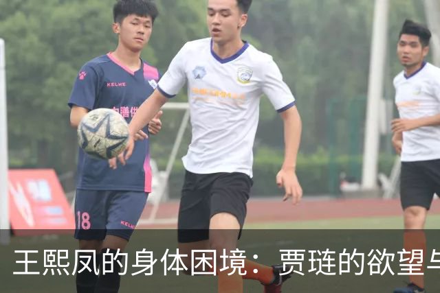 王熙凤的身体困境：贾琏的欲望与背叛毁掉她的生命